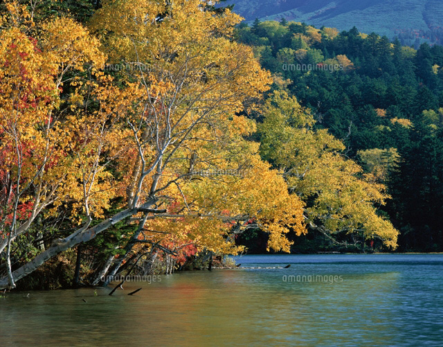 オンネトー湖畔の紅葉 北海道
(c)SIGEO MATSUNO/SEBUN PHOTO