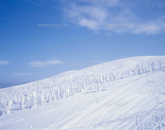 樹氷群とスキーのシュプール 山形県
(c)SIGEO MATSUNO/SEBUN PHOTO