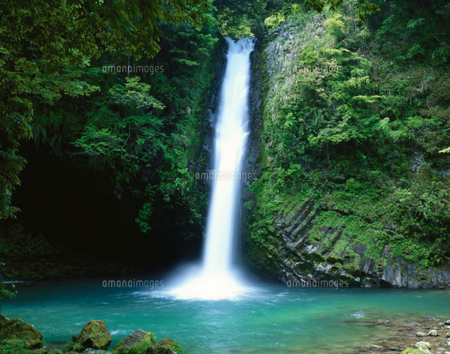 浄蓮ノ滝 天城湯ヶ島町 静岡県
(c)SIGEO MATSUNO/SEBUN PHOTO
