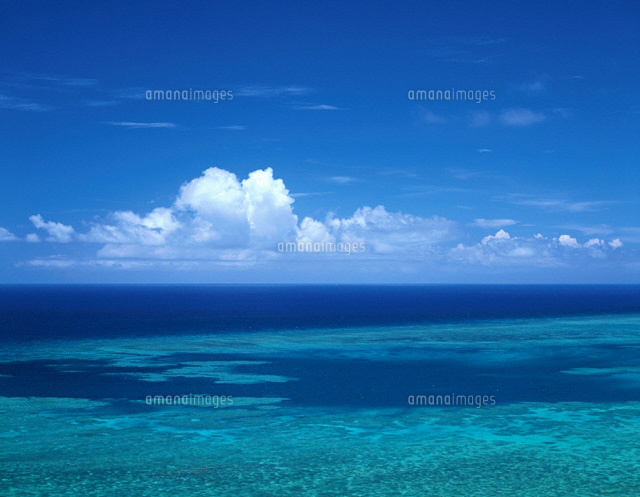 サンゴ礁の海 石垣島 沖縄県
(c)SIGEO MATSUNO/SEBUN PHOTO