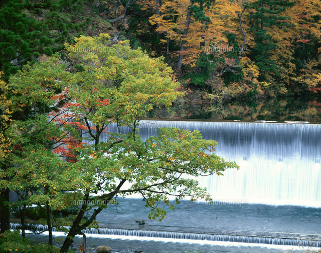 白神山地太良峡と紅葉 藤里町 秋田県
(c)SIGEO MATSUNO/SEBUN PHOTO