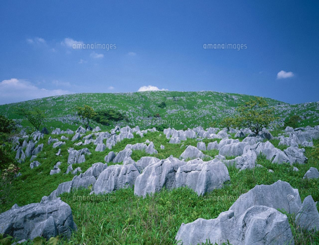 新緑の秋芳台カルスト台地 山口県
(c)SIGEO MATSUNO/SEBUN PHOTO