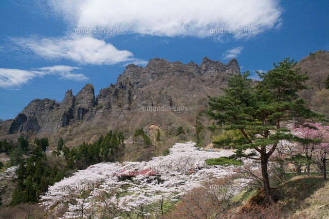 さくらの里より望む妙義山
(c)SHIGEO MATSUNO/SEBUN PHOTO