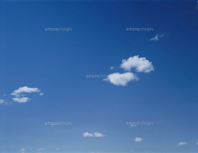 青空と積乱雲 狭山丘陵 埼玉県
(c)SHINICHI NAKAZATO/orion
