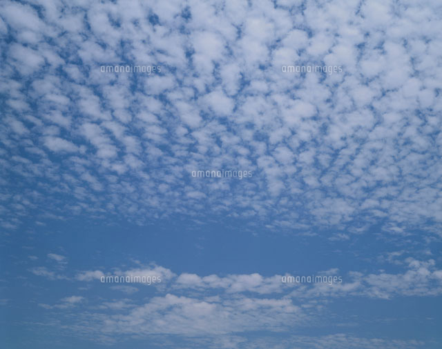 6月の空に浮かぶうろこ雲 狭山丘陵 埼玉
(c)SHINICHI NAKAZATO/orion