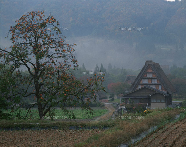秋の白川郷 岐阜県
(c)YOSHITSUGU NISHIGAKI/SEBUN PHOTO