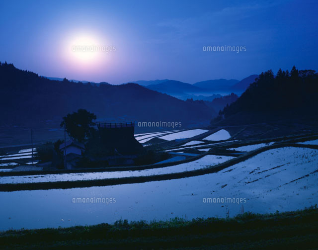 朝の田園風景 能勢町 大阪府
(c)YOSHITSUGU NISHIGAKI/SEBUN PHOTO