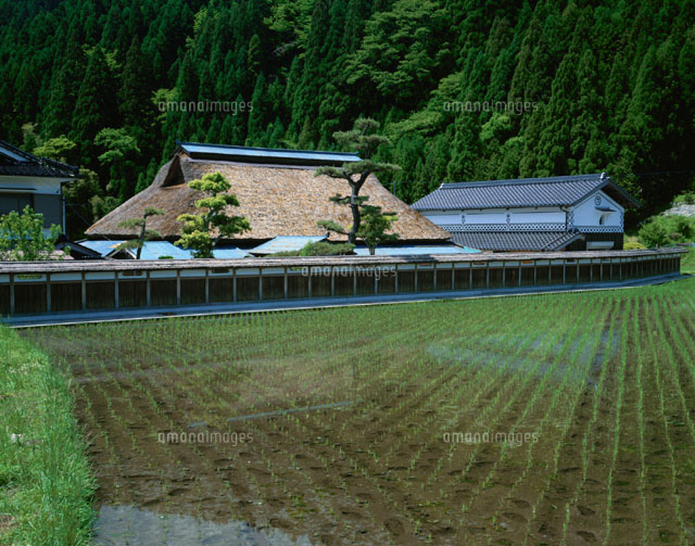 千草町の田園と民家 兵庫
(c)YOSHITSUGU NISHIGAKI/SEBUN PHOTO