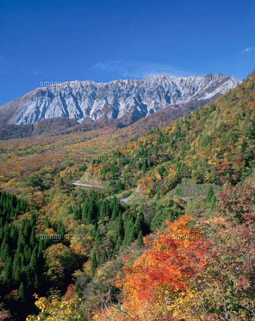 秋の大山 鍵掛峠 江府町 鳥取県
(c)YOSHITSUGU NISHIGAKI/SEBUN PHOTO