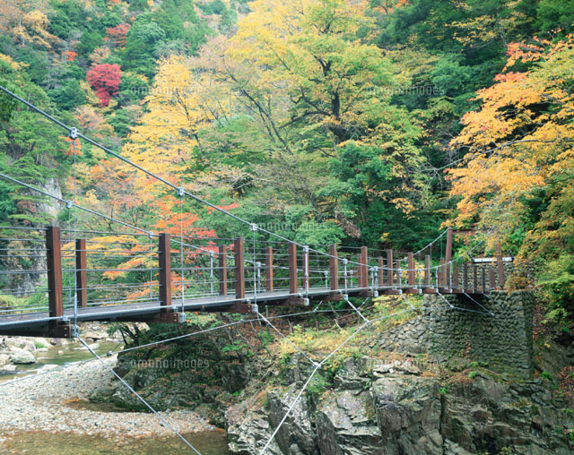 秋の三段峡と橋 大淵付近 戸河内町 広島県
(c)YOSHITSUGU NISHIGAKI/SEBUN PHOTO