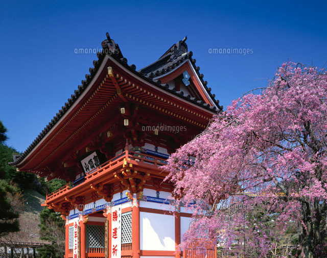 桜咲く勝尾寺 大阪府
(c)YOSHITSUGU NISHIGAKI/SEBUN PHOTO