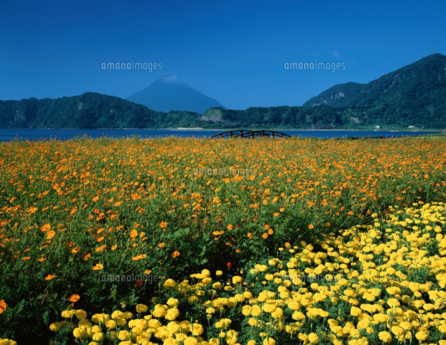 池田湖と開聞岳 鹿児島県
(c)YOSHITSUGU NISHIGAKI/SEBUN PHOTO