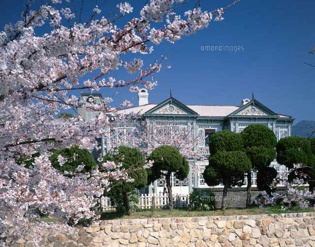 桜咲くハンター邸 神戸市 兵庫県
(c)YOSHITSUGU NISHIGAKI/SEBUN PHOTO