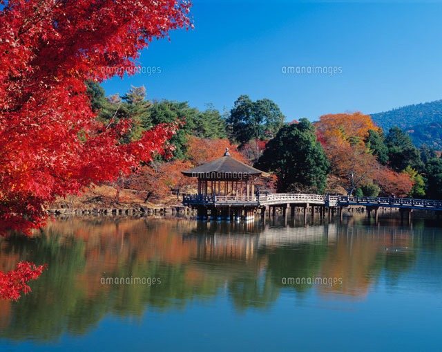 鷺池と浮見堂 奈良公園 奈良県
(c)YOSHITSUGU NISHIGAKI/SEBUN PHOTO