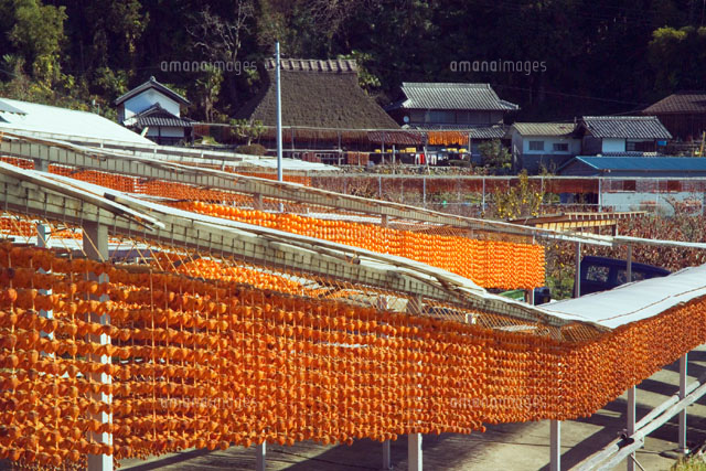 串柿と民家 和歌山県
(c)YOSHITSUGU NISHIGAKI/SEBUN PHOTO