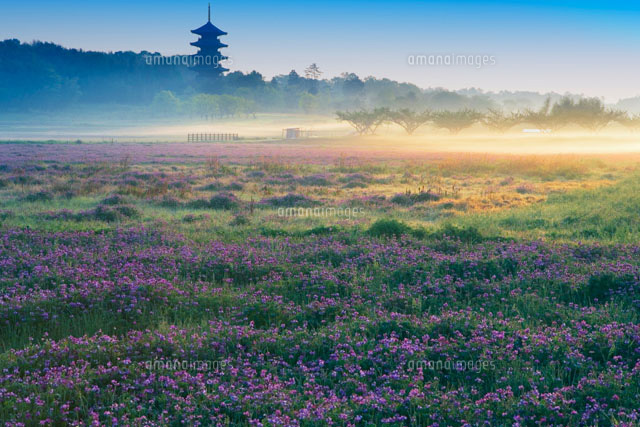 朝の備中国分寺 岡山県
(c)YOSHITSUGU NISHIGAKI/SEBUN PHOTO