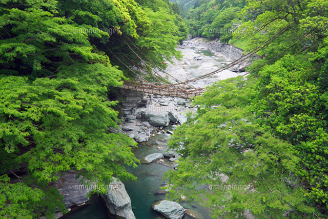 祖谷のかずら橋 徳島県
(c)YOSHITSUGU NISHIGAKI/SEBUN PHOTO