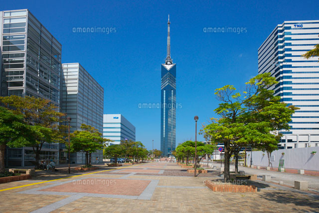 福岡タワー
(c)YOSHITSUGU NISHIGAKI/SEBUN PHOTO