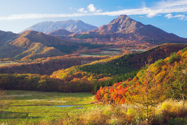 秋の大山
(c)YOSHITSUGU NISHIGAKI/SEBUN PHOTO