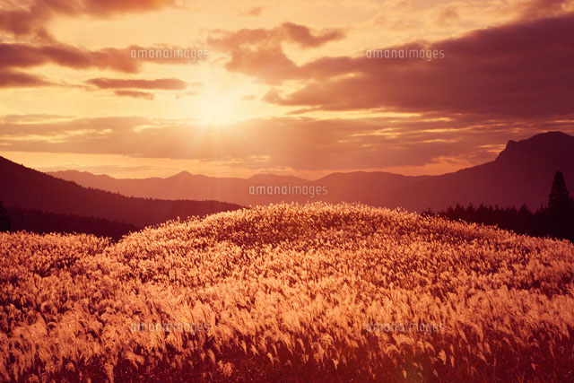 曽爾高原の夕景
(c)YOSHITSUGU NISHIGAKI/SEBUN PHOTO