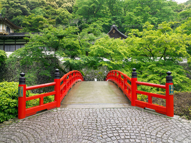 龍安寺
(c)YOSHITSUGU NISHIGAKI/SEBUN PHOTO