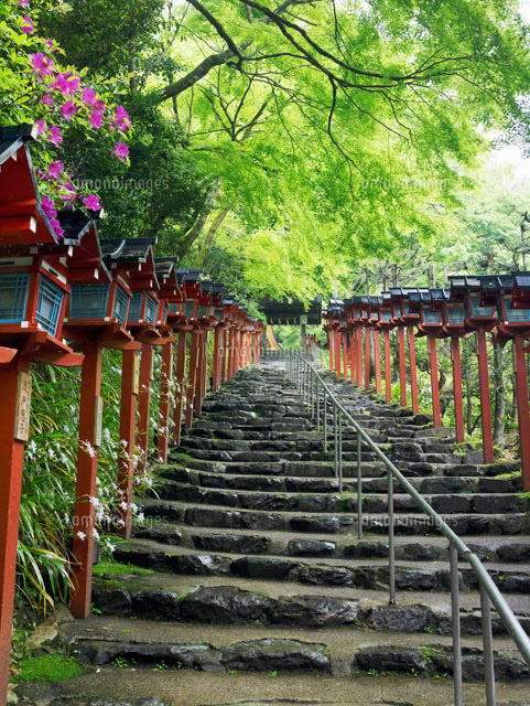 貴船神社参道
(c)YOSHITSUGU NISHIGAKI/SEBUN PHOTO