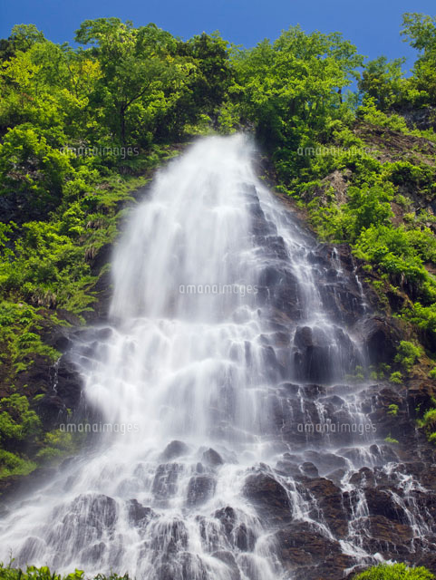 新緑の天滝
(c)YOSHITSUGU NISHIGAKI/SEBUN PHOTO