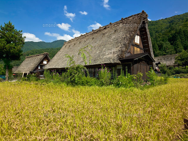 白川郷合掌集落
(c)YOSHITSUGU NISHIGAKI/SEBUN PHOTO