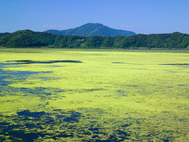 三方五湖 三方湖
(c)YOSHITSUGU NISHIGAKI/SEBUN PHOTO
