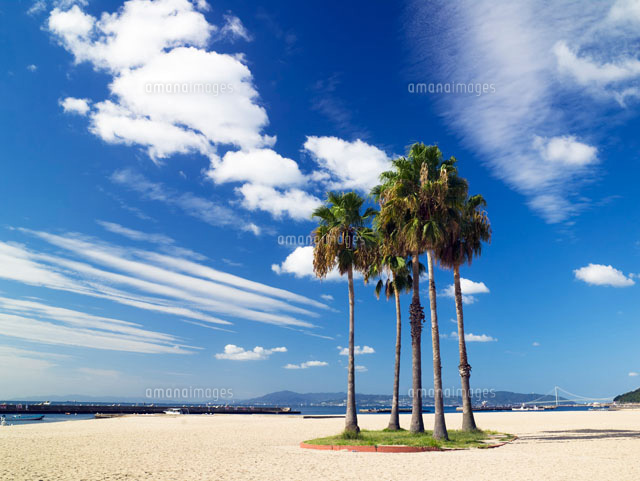 須磨海岸 須磨海浜公園
(c)YOSHITSUGU NISHIGAKI/SEBUN PHOTO