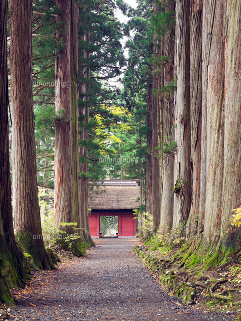 戸隠神社奥社参道と随神門
(c)YOSHITSUGU NISHIGAKI/SEBUN PHOTO
