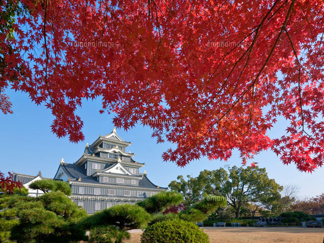 紅葉と岡山城
(c)YOSHITSUGU NISHIGAKI/SEBUN PHOTO