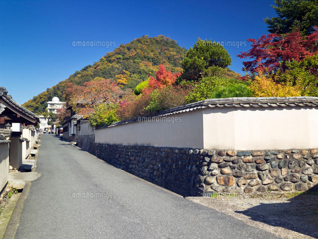 秋の石火矢ふるさと村 武家屋敷
(c)YOSHITSUGU NISHIGAKI/SEBUN PHOTO