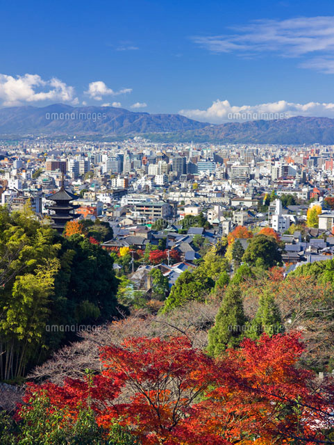 秋の京都市街と八坂の塔
(c)YOSHITSUGU NISHIGAKI/SEBUN PHOTO