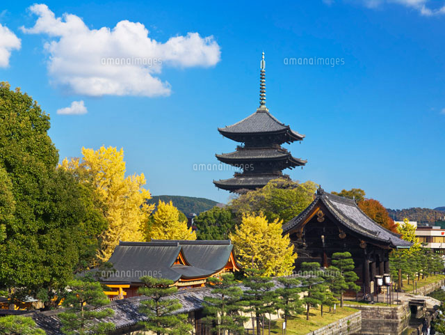 紅葉と東寺五重塔
(c)YOSHITSUGU NISHIGAKI/SEBUN PHOTO