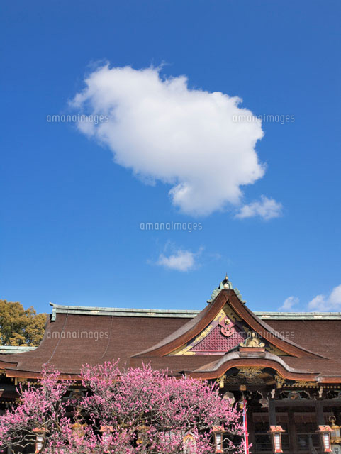 梅の花と北野天満宮
(c)YOSHITSUGU NISHIGAKI/SEBUN PHOTO