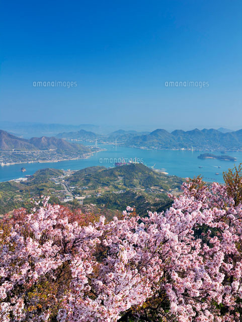 桜咲く積善山より望む瀬戸内海
(c)YOSHITSUGU NISHIGAKI/SEBUN PHOTO