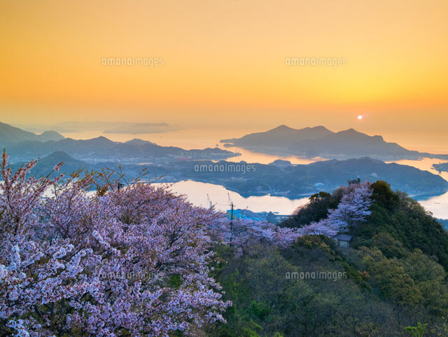 桜咲く積善山より望む瀬戸内海
(c)YOSHITSUGU NISHIGAKI/SEBUN PHOTO