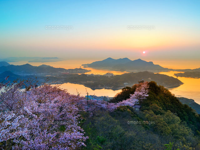 桜咲く積善山より望む瀬戸内海
(c)YOSHITSUGU NISHIGAKI/SEBUN PHOTO