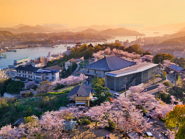 桜咲く千光寺公園夕景
(c)YOSHITSUGU NISHIGAKI/SEBUN PHOTO