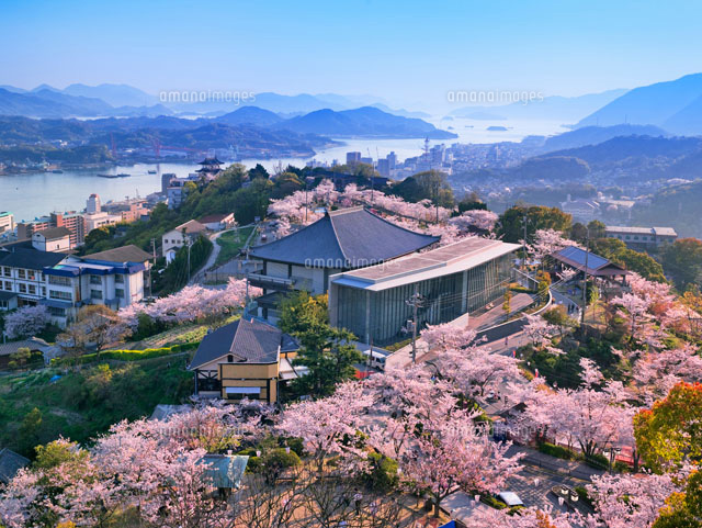 桜咲く千光寺公園夕景
(c)YOSHITSUGU NISHIGAKI/SEBUN PHOTO