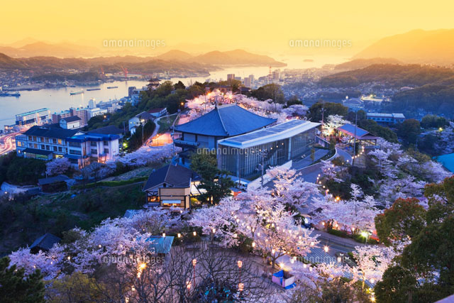 桜咲く千光寺公園夜景
(c)YOSHITSUGU NISHIGAKI/SEBUN PHOTO