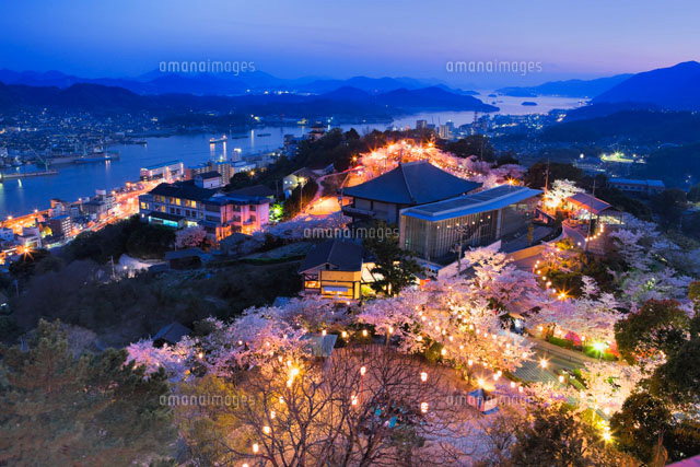 桜咲く千光寺公園夜景
(c)YOSHITSUGU NISHIGAKI/SEBUN PHOTO