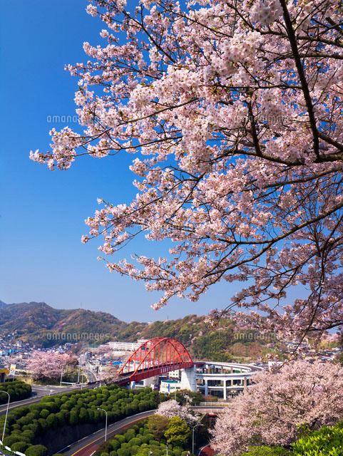桜と音戸大橋
(c)YOSHITSUGU NISHIGAKI/SEBUN PHOTO