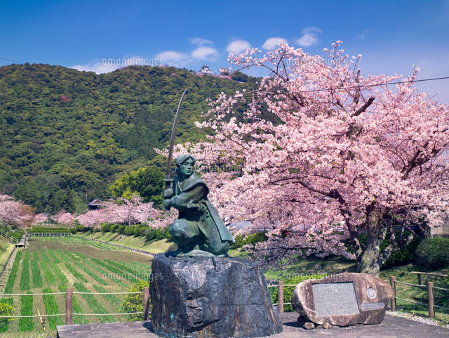 桜咲く吉香公園と岩国城
(c)YOSHITSUGU NISHIGAKI/SEBUN PHOTO