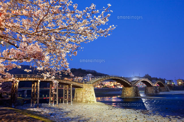 桜と錦帯橋夜景
(c)YOSHITSUGU NISHIGAKI/SEBUN PHOTO