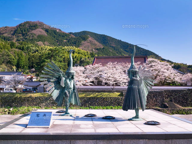 桜と鷺舞の像と津和野郷土博物館
(c)YOSHITSUGU NISHIGAKI/SEBUN PHOTO