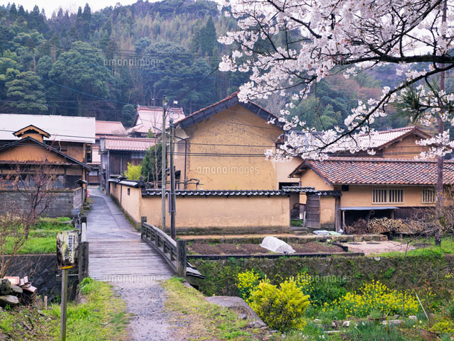 桜咲く石見銀山大森地区
(c)YOSHITSUGU NISHIGAKI/SEBUN PHOTO