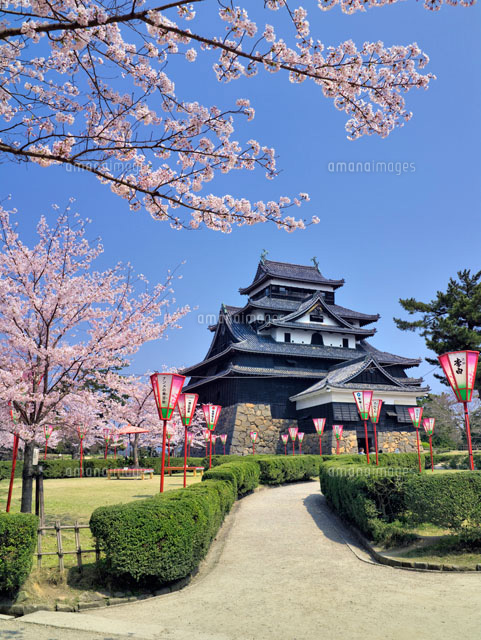 桜と松江城
(c)YOSHITSUGU NISHIGAKI/SEBUN PHOTO