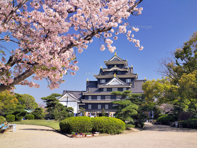 桜と岡山城
(c)YOSHITSUGU NISHIGAKI/SEBUN PHOTO